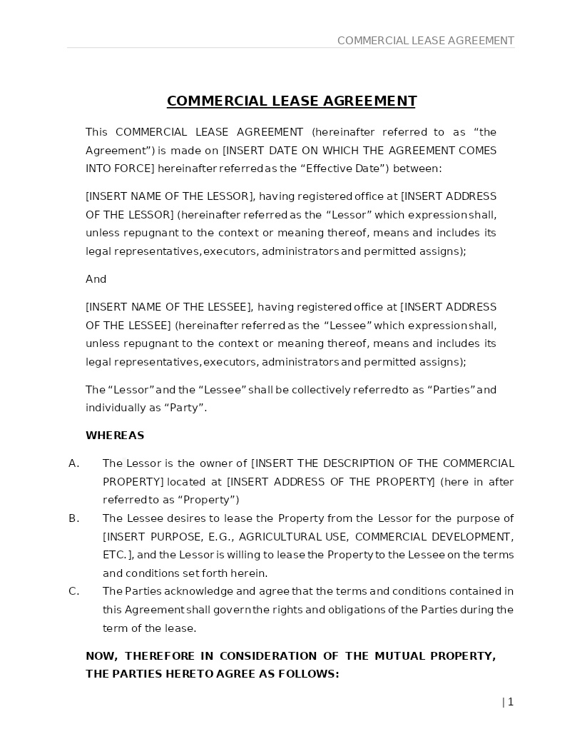 COMMERCIAL LEASE AGREEMENT